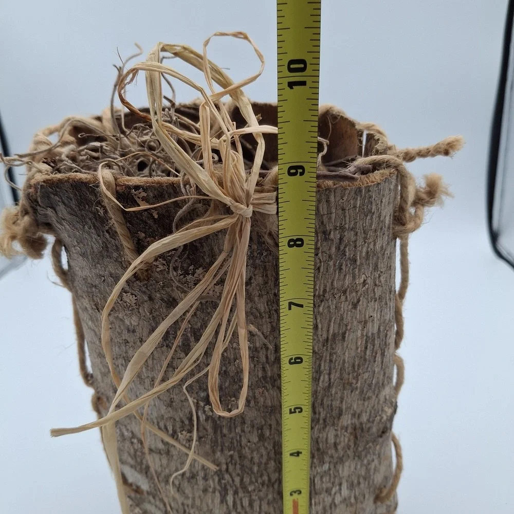 Vintage Wood Bark‎ Berry Basket (Appalachian?) Rustic Cabin Woods Decor Twigs 9
